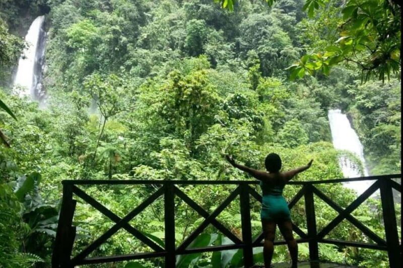 Dominica Waterfalls Chasing and Snorkeling Experience - Key Points