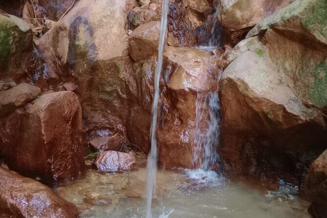 Dominica Waterfalls Full Day Private Expedition @ AUTOP TOURS - FAQ