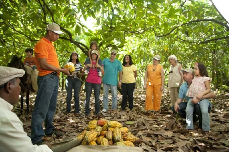 Dominican Republic: 3-Hour Chocolate Lovers Tour - An In-Depth Look at the Chocolate Tour