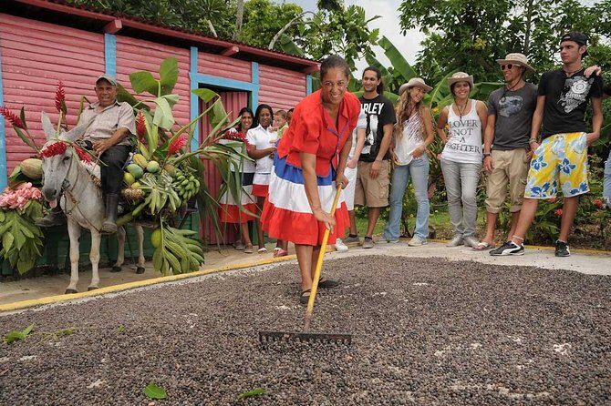 Dominican Republic Countryside Safari Tour from Punta Cana - Key Points