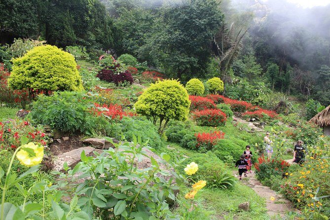 DON'T miss It ! Doi suthep temple+ Hmong village - Practical Tips for the Tour