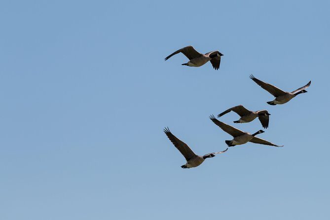 Door County Wetlands Kayak Tour - The Practical Side: What You Need to Know