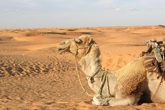 Door of the tunisian desert Ksar Ghilane and Matmata: Full one Day - Discover the Tunisian Sahara: Ksar Ghilane and Matmata Full-Day Tour