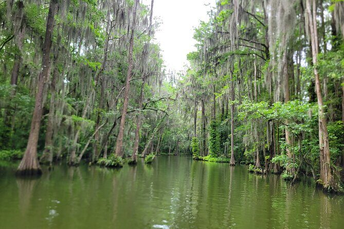 Dora Canal Half-Day Kayak and Paddle Board Rental Adventure - What to Expect on the Water