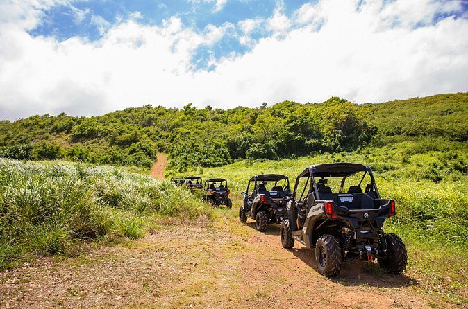 Dos Mares and Rainforest UTV Adventure Tour in Fajardo - Authenticity and Family Fun