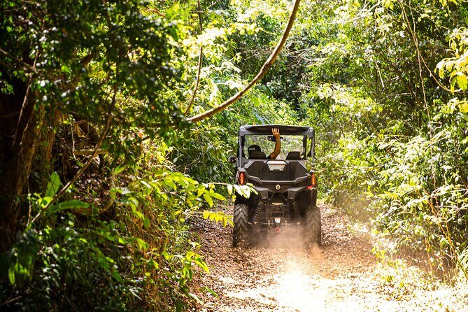 Dos Mares and Rainforest UTV Adventure Tour in Fajardo - Value for Money: Does It Make Sense?