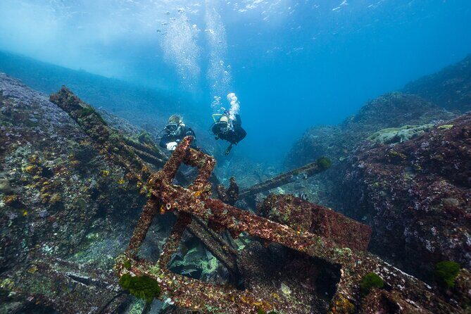 Double Dive to South Solitary Island Coffs Harbour - Dive Itinerary: What to Expect