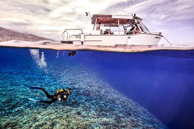 Double Diving Adventure Exploration for Certified Divers - Key Points
