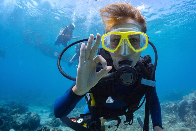 Double Diving Adventure Exploration for Certified Divers - The Dive Itinerary: What Makes Each Part Special