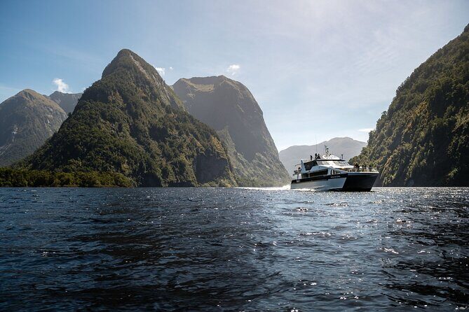 Doubtful Sound Wilderness Day Cruise from Manapouri - Key Points