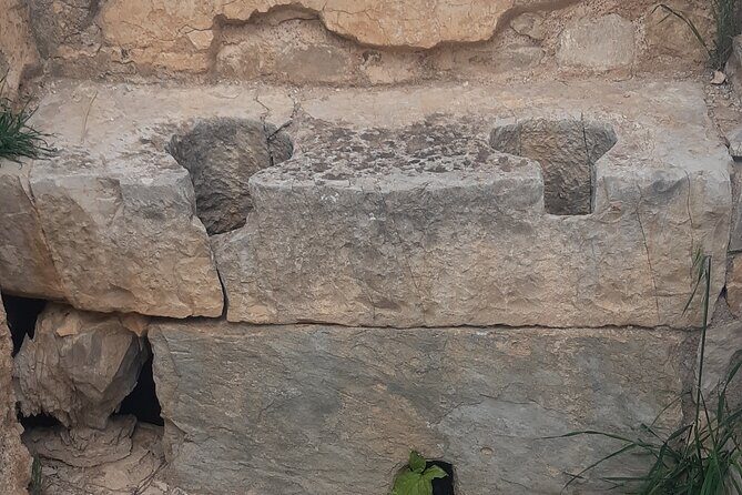 Dougga and Bulla Regia Guided Tour From Tunis - A Closer Look at the Itinerary