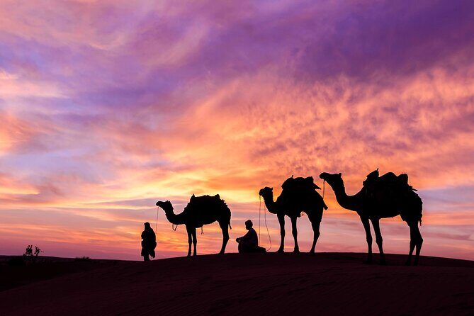 Douz Overnight Camp Stay in Sahara Desert with Dinner By Camel - An In-Depth Look at the Sahara Overnight Tour
