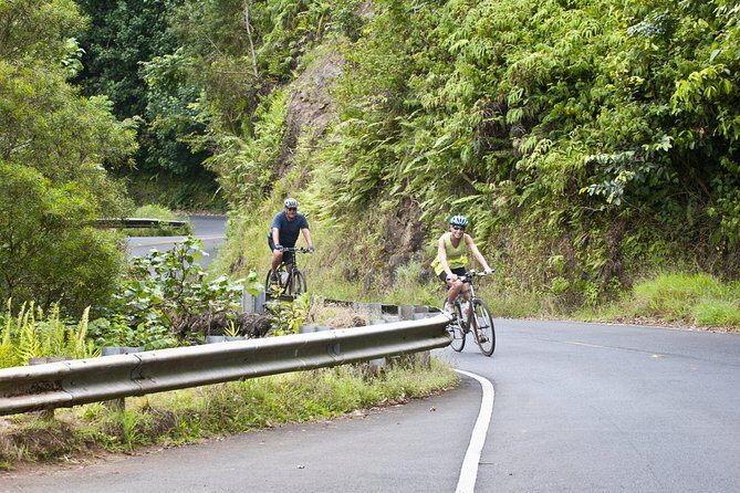 Downhill Bike and Ko'olau Waterfall Hike Tour - Key Points