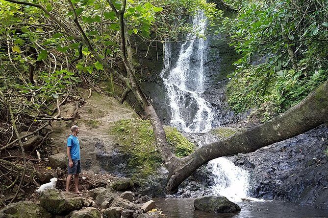 Downhill Bike and Ko'olau Waterfall Hike Tour - What to Expect from the Tour