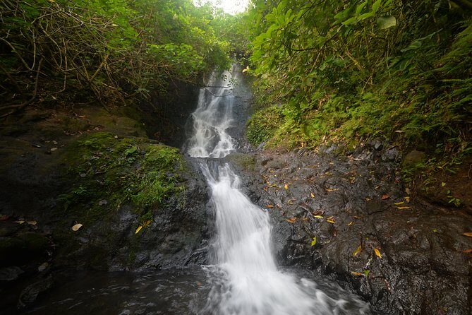 Downhill Bike and Ko'olau Waterfall Hike Tour - FAQs