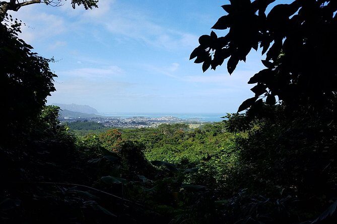 Downhill Bike and Ko'olau Waterfall Hike Tour - Final Thoughts