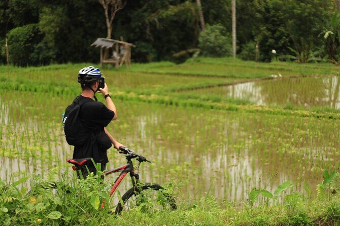 Downhill Cycling Ubud with Volcano,Rice Terraces,Jungle and Meals - Who Will Love This Tour?
