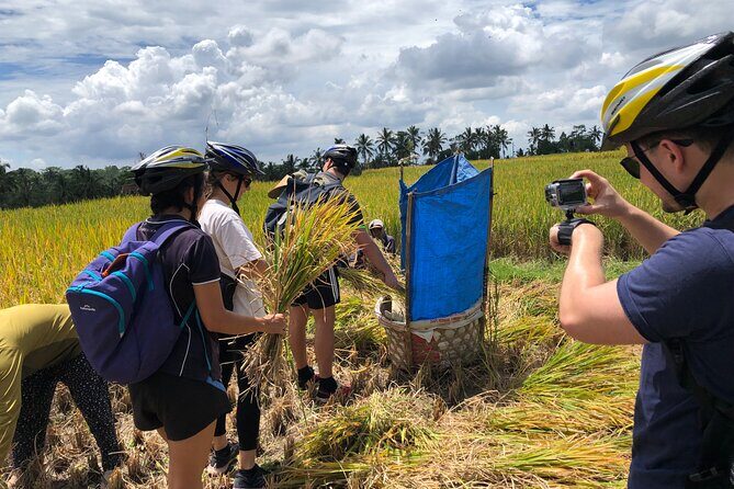 Downhill Cycling Ubud with Volcano,Rice Terraces,Jungle and Meals - Frequently Asked Questions
