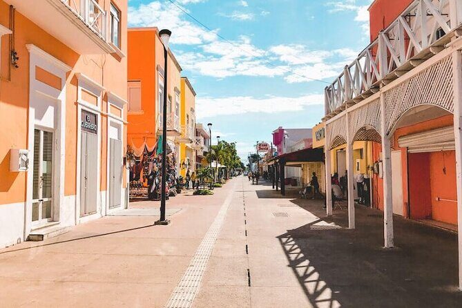 Downtown Cozumel and Brewery Experience - An In-Depth Look at the Tour