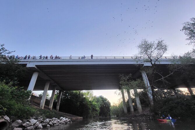 Downtown Houston Bat and Skyline Kayaking Tour - Introduction: What is the Downtown Houston Bat and Skyline Kayaking Tour?