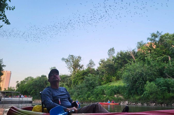 Downtown Houston Bat and Skyline Kayaking Tour - Practical Details: What You Need to Know