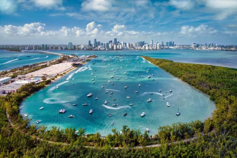 Downtown Miami Tour with Millionaires Row Cruise Tickets - Who Should Consider This Tour?