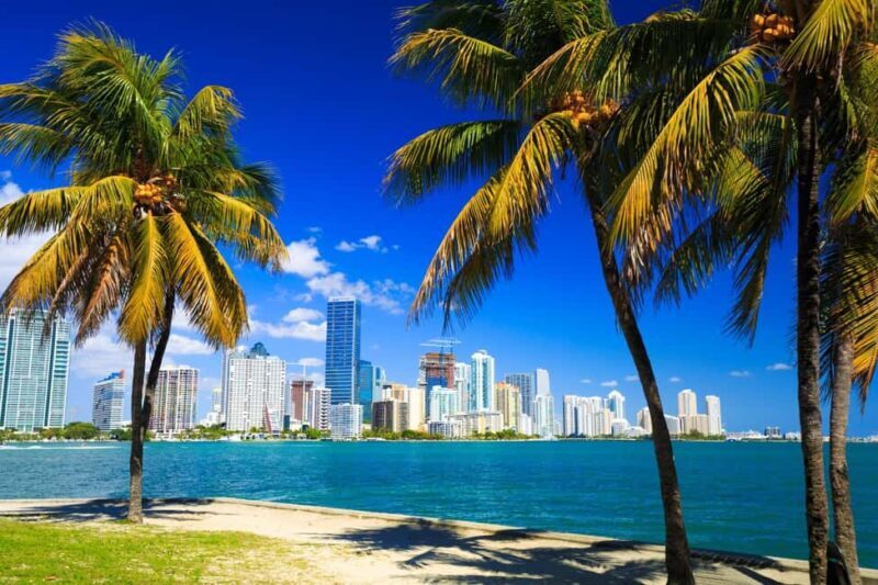 Downtown Miami Tour with Millionaires Row Cruise Tickets - The Sum Up