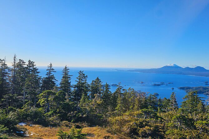 Downtown Sitka E-Bike Rentals - The Sum Up: Is It Worth It?