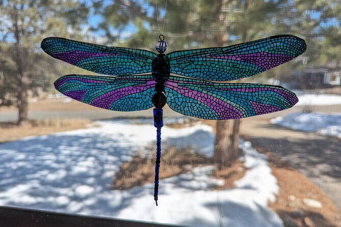 Dragonfly Suncatcher Art Kit in Estes Park - Key Points