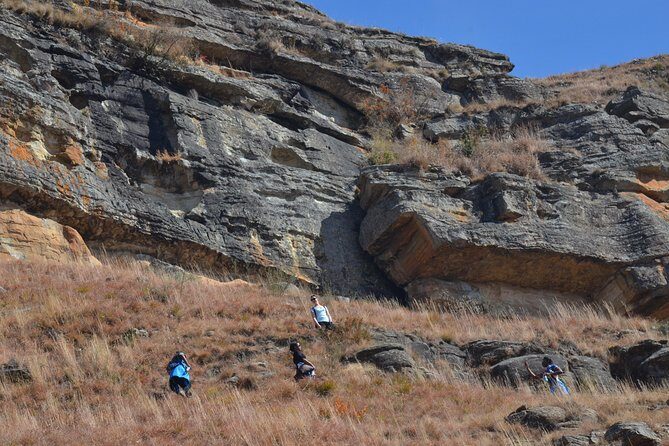 Drakensberg Kamberg Rock Art & Mandela Capture Site Day Tour from Durban - Who Should Consider This Tour?