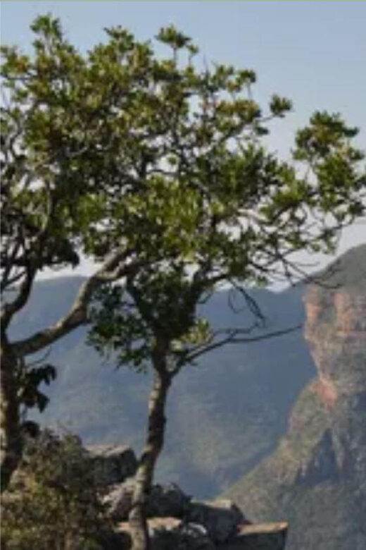 Drakensberg Mountains Plus Hiking Full Day Tour From Durban - Who Should Consider This Tour?