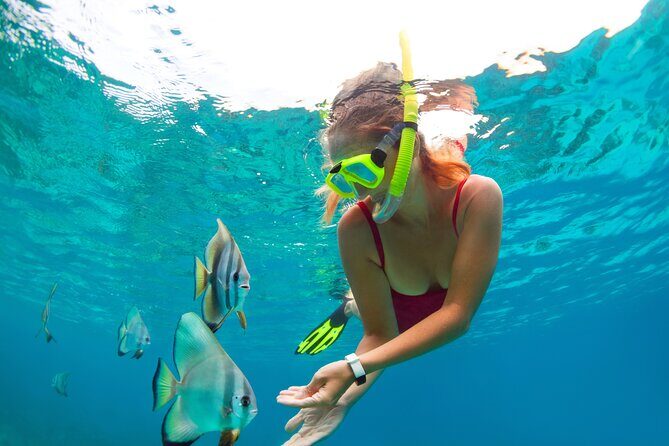 Drive an Speedboat + Mayan Ritual + Food Tasting and More! - Frequently Asked Questions
