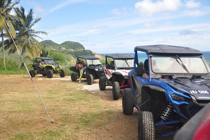 Drive and Fly - Buggy and Zipline - The Detailed Itinerary and What to Expect