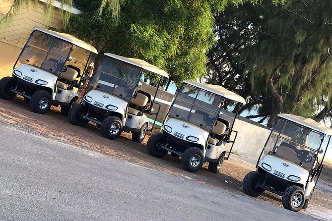 Drive GDT - Golf Cart Rentals - Key Points