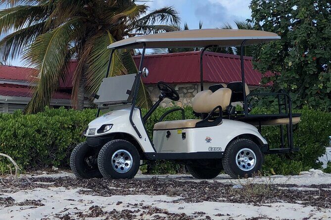 Drive GDT - Golf Cart Rentals - Who Will Love This Experience?