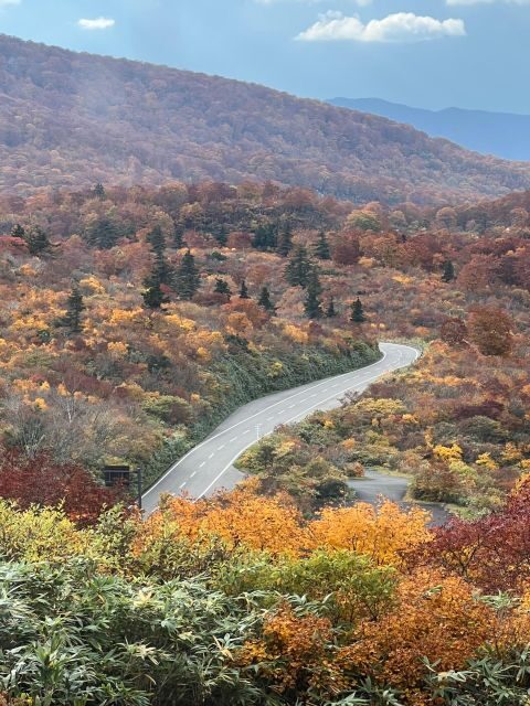 Driving Support in Akita - Key Points