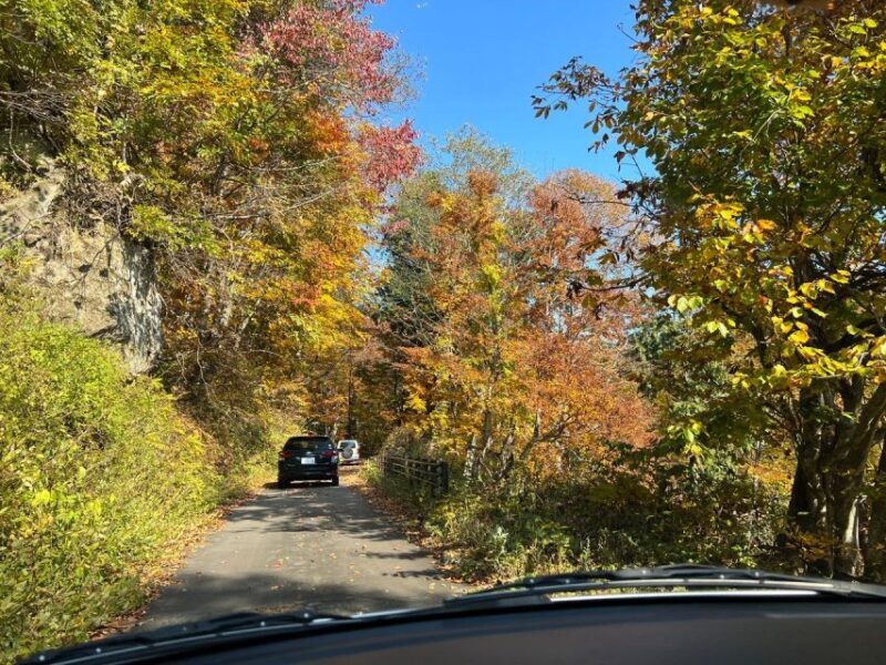 Driving Support in Akita - An In-Depth Look at Driving Support in Akita