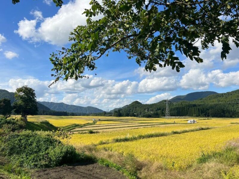 Driving Support in Akita - The Sum Up: Is It Right for You?