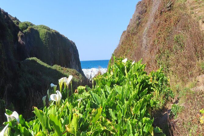 Driving the California Coast: A Self-Guided Audio Tour - The Value: Is It Worth It?
