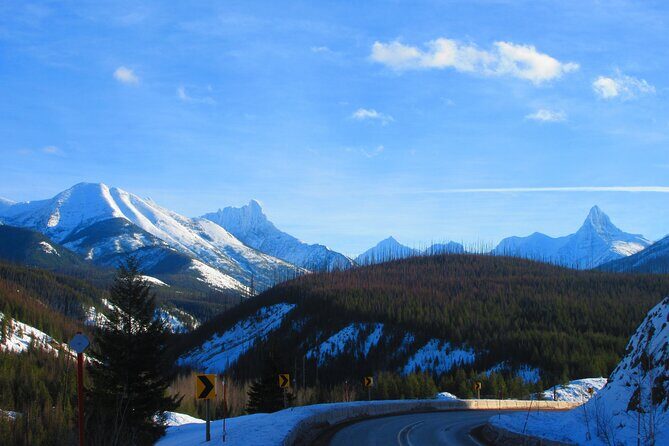 Driving Tour in Glacier National Park - Introduction: Why This Tour Can Be a Great Choice