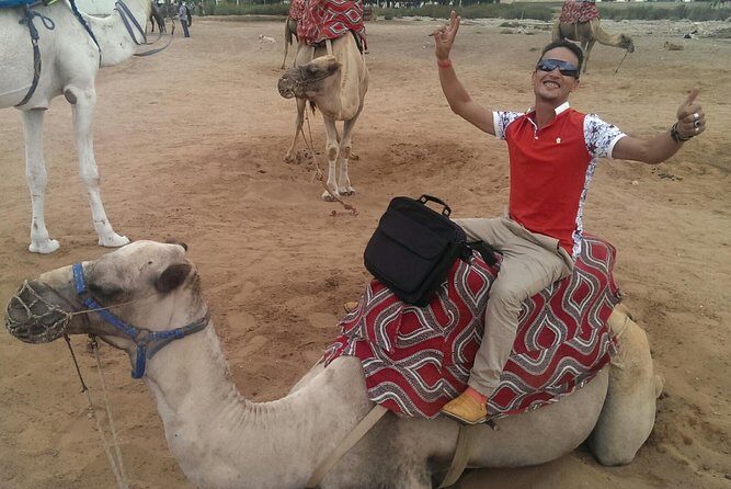 Dromedary Safari: 2 hours - Who Will Love This Tour?