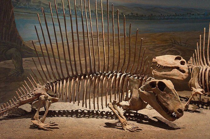 Drumheller and Badlands Full-Day Tour with a Small Group - The Sum Up