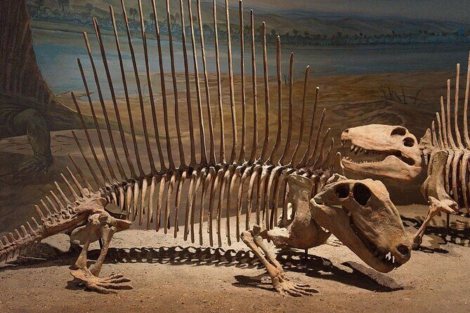 Drumheller and Badlands Full-Day Tour with a Small Group - FAQ