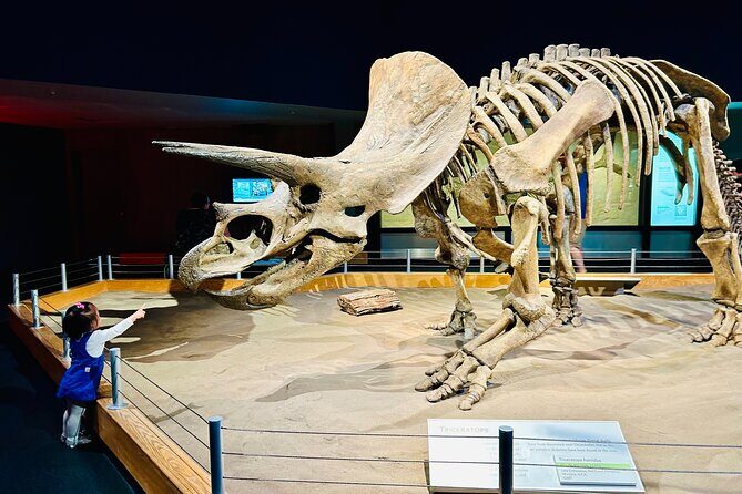 Drumheller and the Badlands Private Sightseeing Tour - Key Points