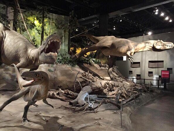 Drumheller Dinosaur Valley & Horseshoe Canyon Adventure Day Tour - Key Points