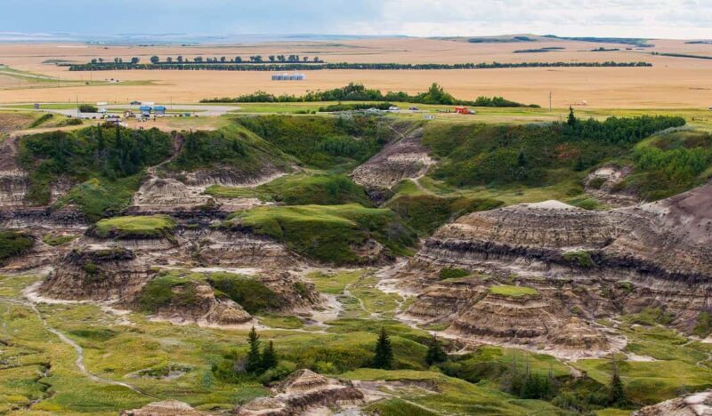 Drumheller: Dinosaurs, Canyons, & Hoodoos Day Tour - Guides and Service Quality