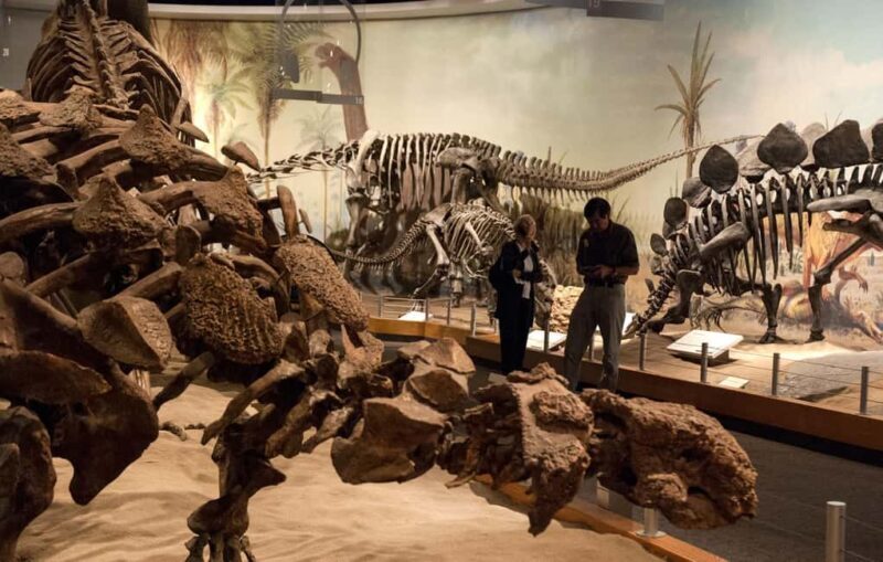 Drumheller: Dinosaurs, Canyons, & Hoodoos Day Tour - What Previous Travelers Say
