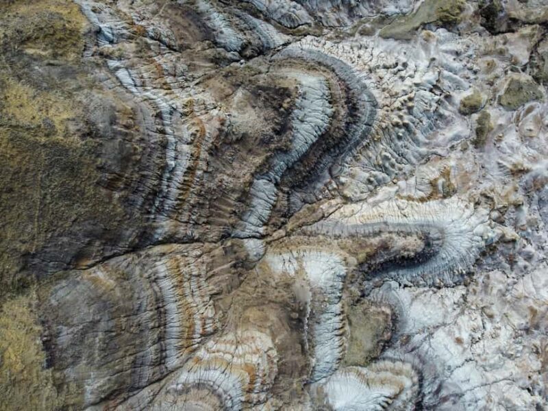 Drumheller: Dinosaurs, Canyons, & Hoodoos Day Tour - Who Should Consider This Tour?