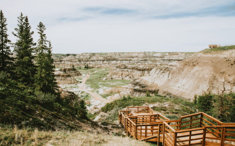 Drumheller: Dinosaurs, Canyons, & Hoodoos Day Tour - The Sum Up