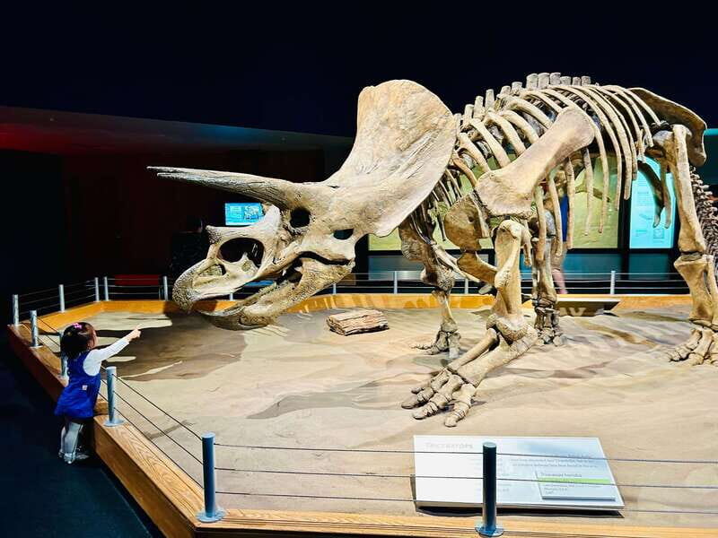 Drumheller Full-day Private Sightseeing Tour - What to Expect from the Tour Experience